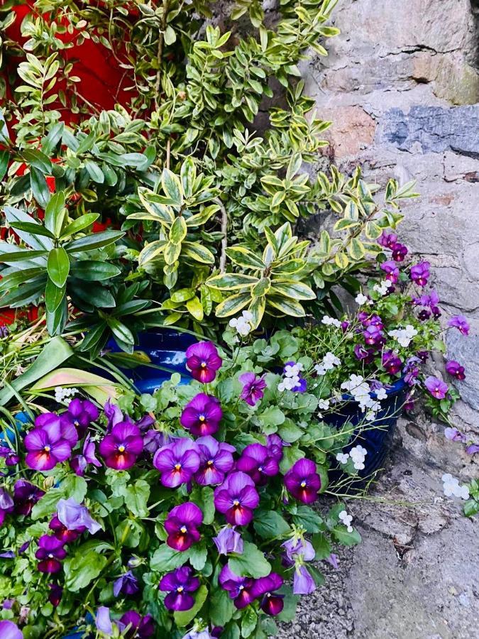 The Tower House B&B Thomastown  Dış mekan fotoğraf